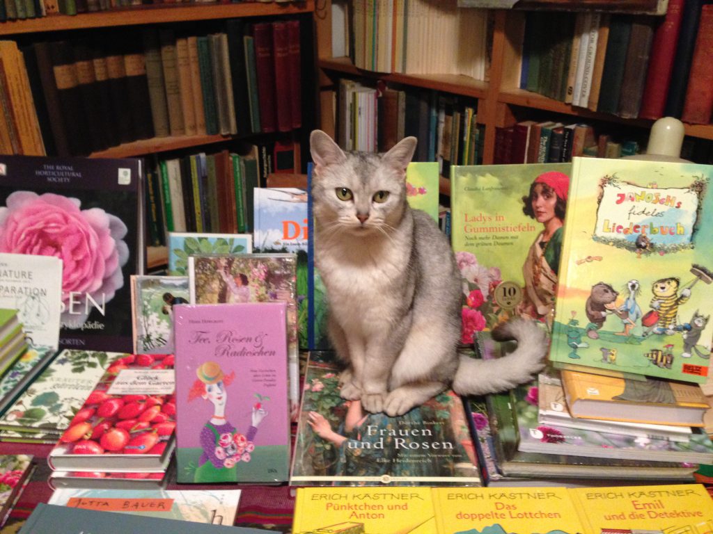 Bücher vom BÜCHERSEGLER