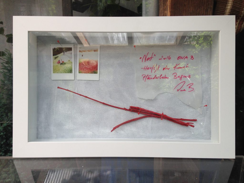 Ona B. Box-Installation NEST, 2016