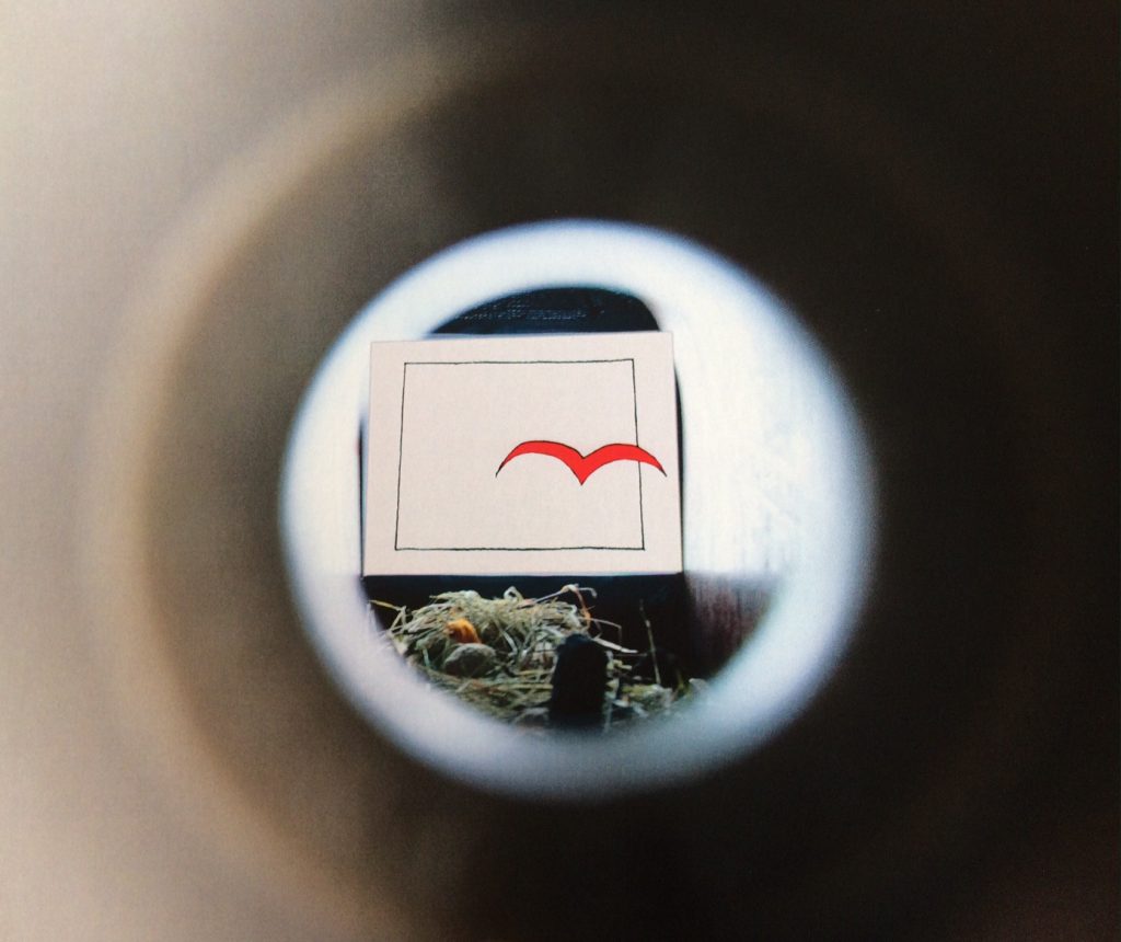 Renate Kordon: VogelKino/BirdCinema 2016 kunstGarten