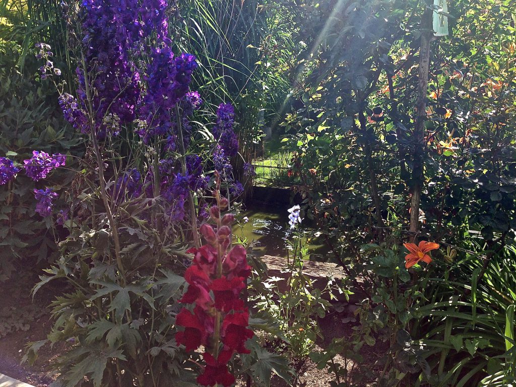 Flower garden/Blumengarten Jul 2016 